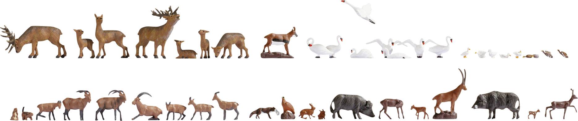 Illustrierte Anordnung von Tiersilhouetten und Figuren, von großen Säugetieren wie Hirsche, Hunde und Bären bis hin zu Vögeln und kleinen Lebewesen, angeordnet in zwei Reihen nach Größe.