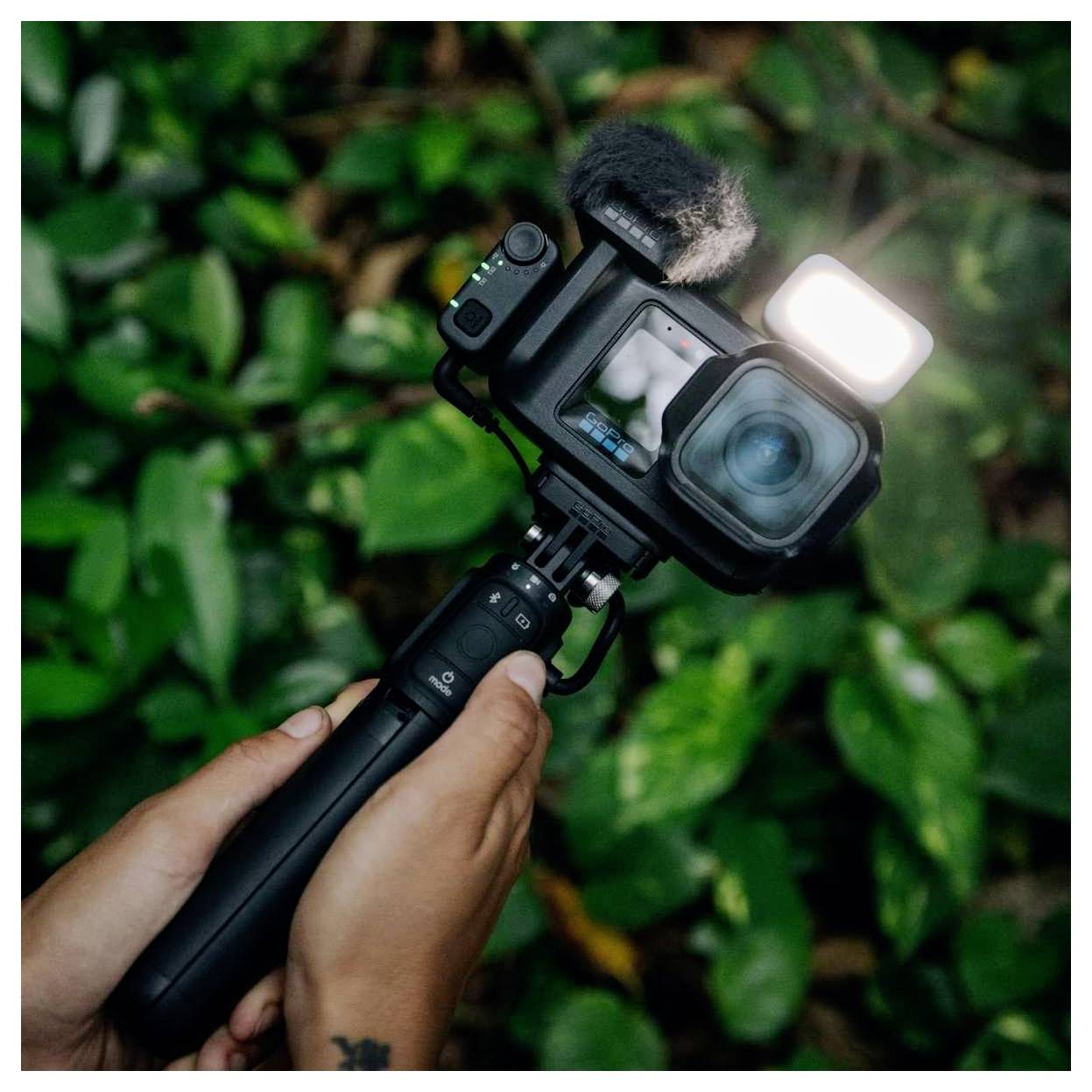 Hand hält eine GoPro-ähnliche Actionkamera an einem Griff, mit hellem Licht und Mikrofon befestigt, auf grünes Laub ausgerichtet.