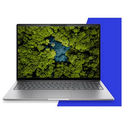Laptop zeigt eine Luftaufnahme eines dichten grünen Waldes, der einen blauen See oder Flussmündung umgibt.