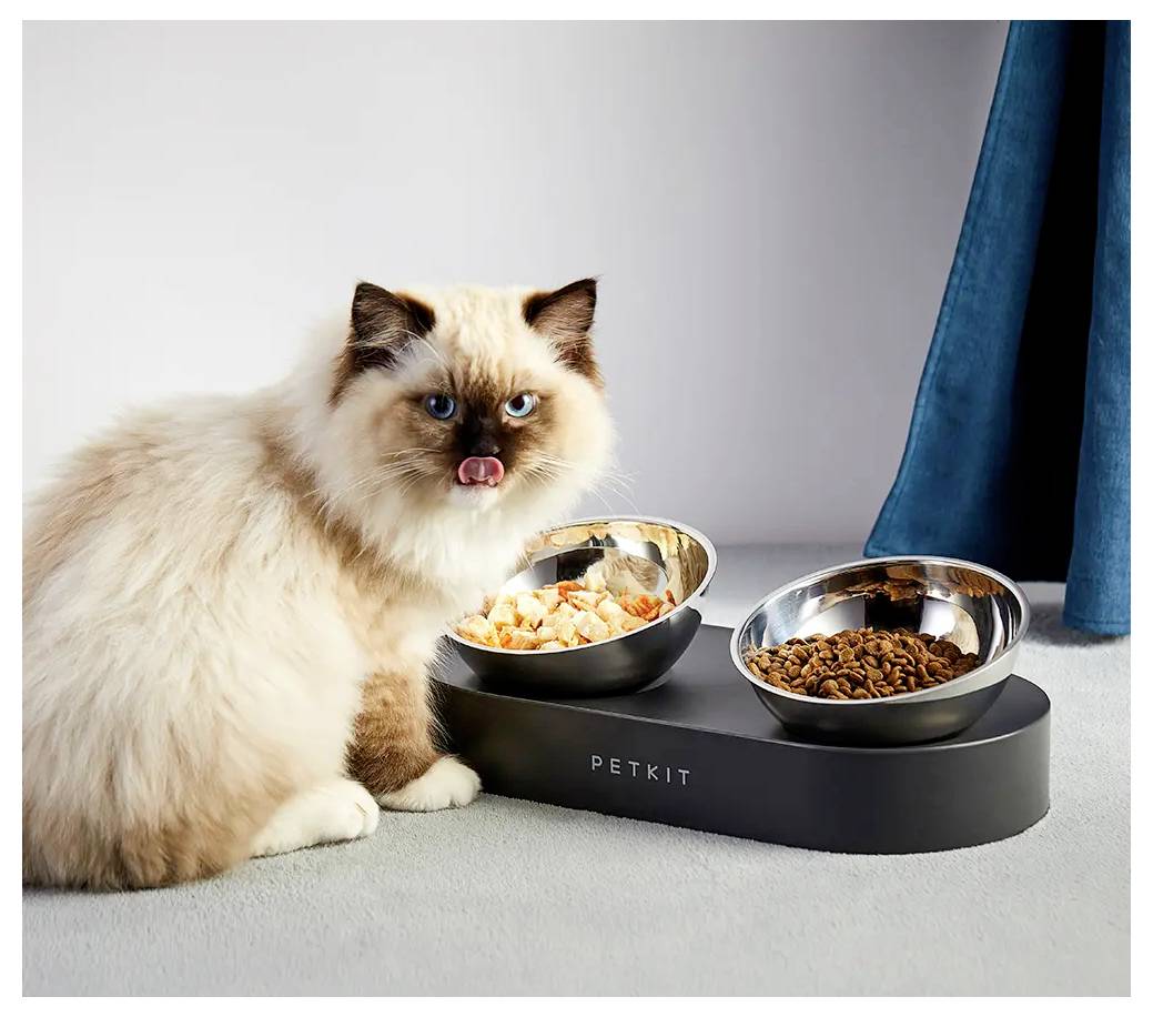 Flauschige Katze neben einem PetKit Doppel-Futternapf mit Nassfutter in einer Schüssel und Trockenfutter in der anderen.