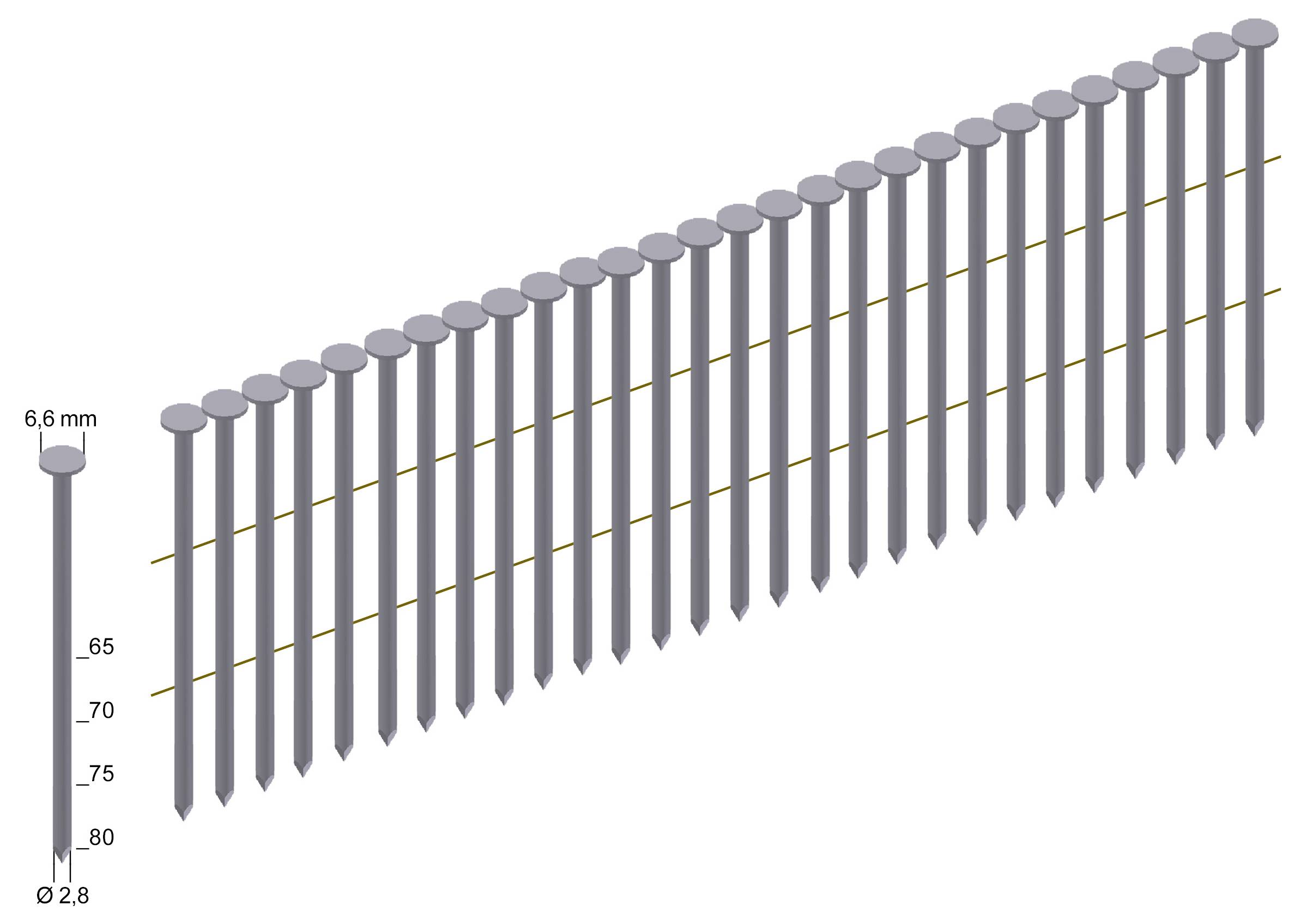 3D-Diagramm der Nagelgrößen mit einer Länge von 65 bis 80 mm und einem Durchmesser von 2,8 mm sowie einer Kopfgröße von 6,6 mm.