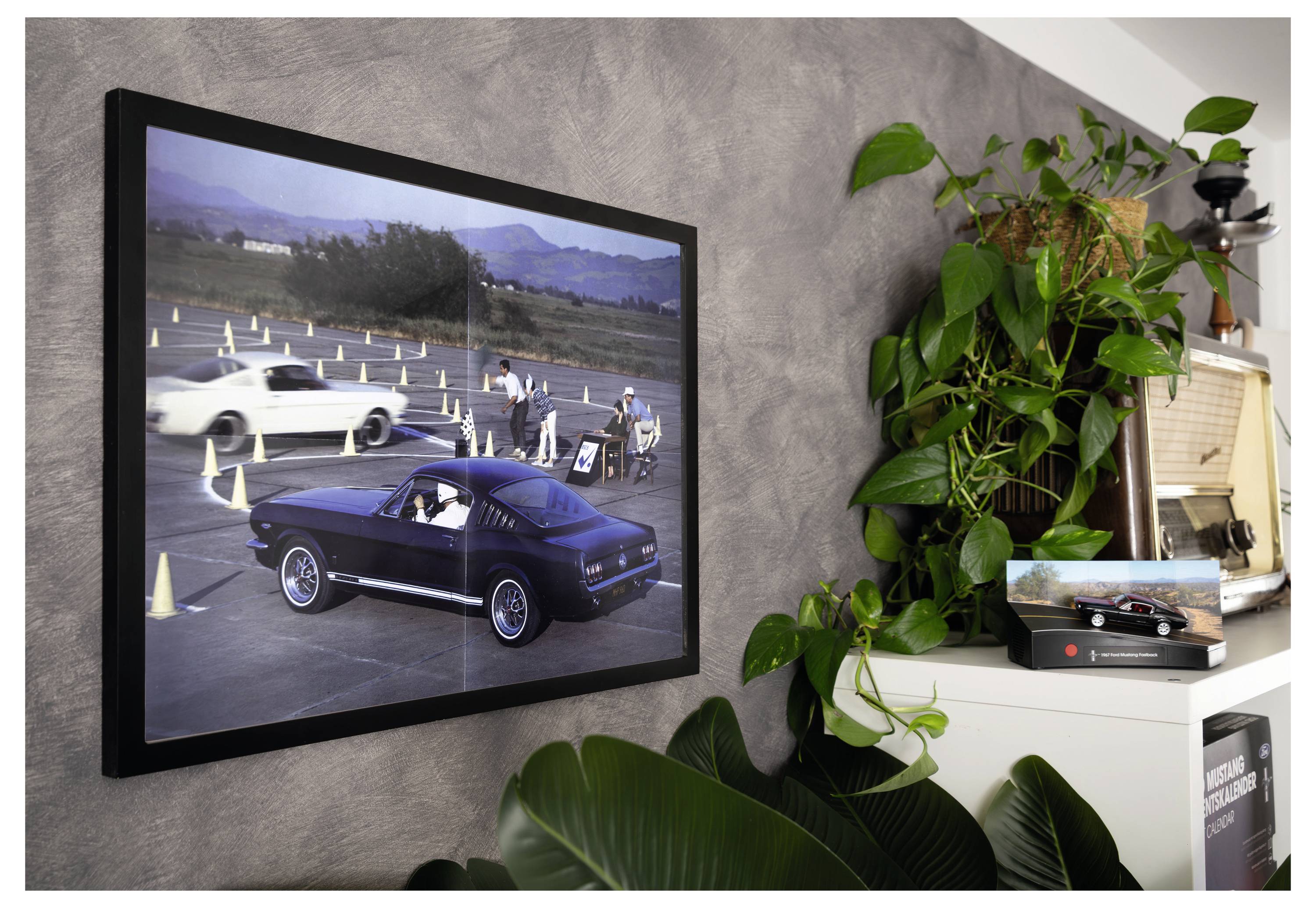 Gerahmtes Foto von zwei Autos in einer Fahrstreckenszene an einer Wand neben einer blattreichen Zimmerpflanze und einem Regal mit einem kleinen Modellauto