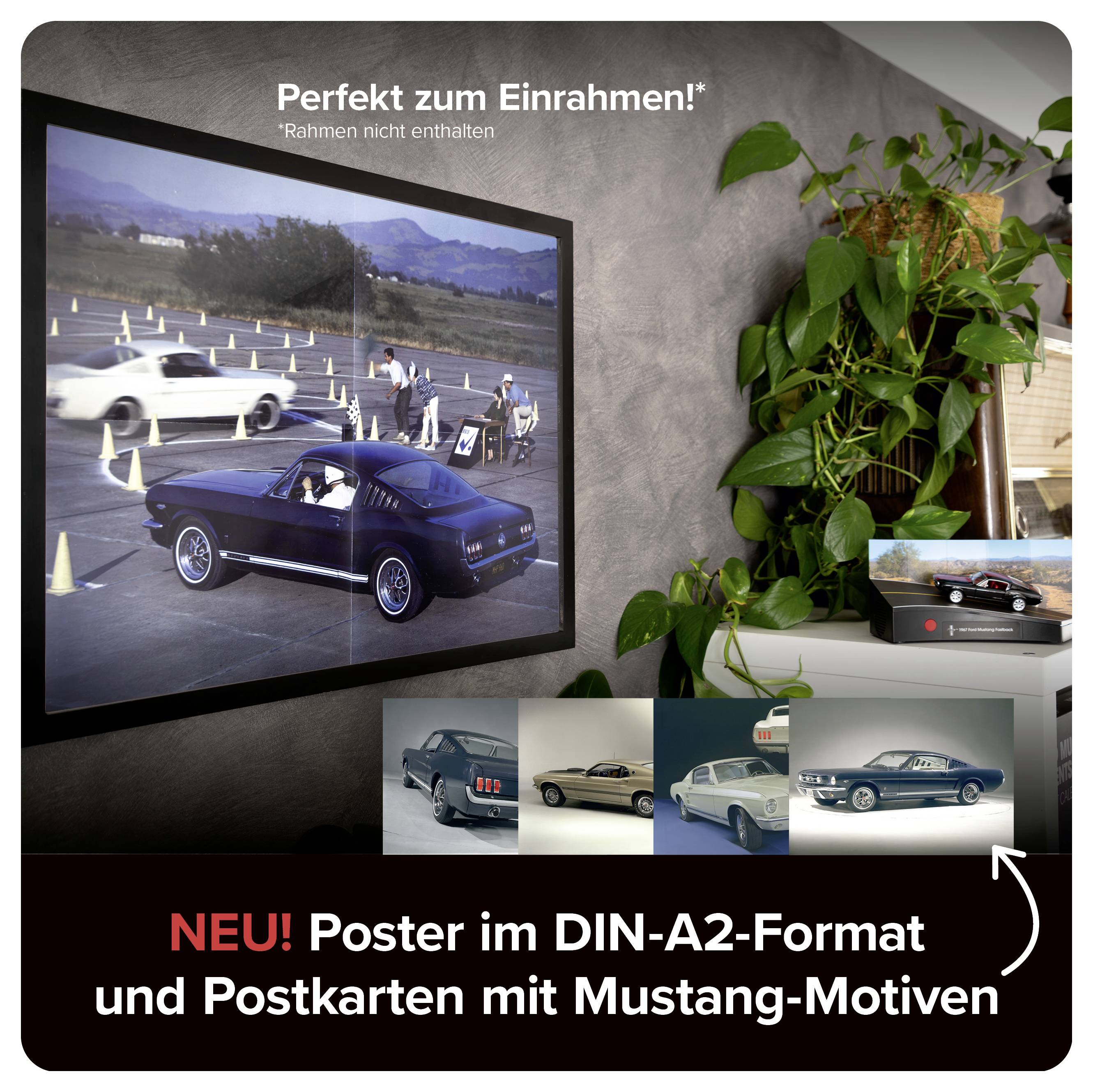 Werbeplakat für Mustang-Poster und Postkarten im DIN-A2-Format; gerahmtes Motivbild an der Wand, dazu Hinweis 'Rahmen nicht enthalten'.
