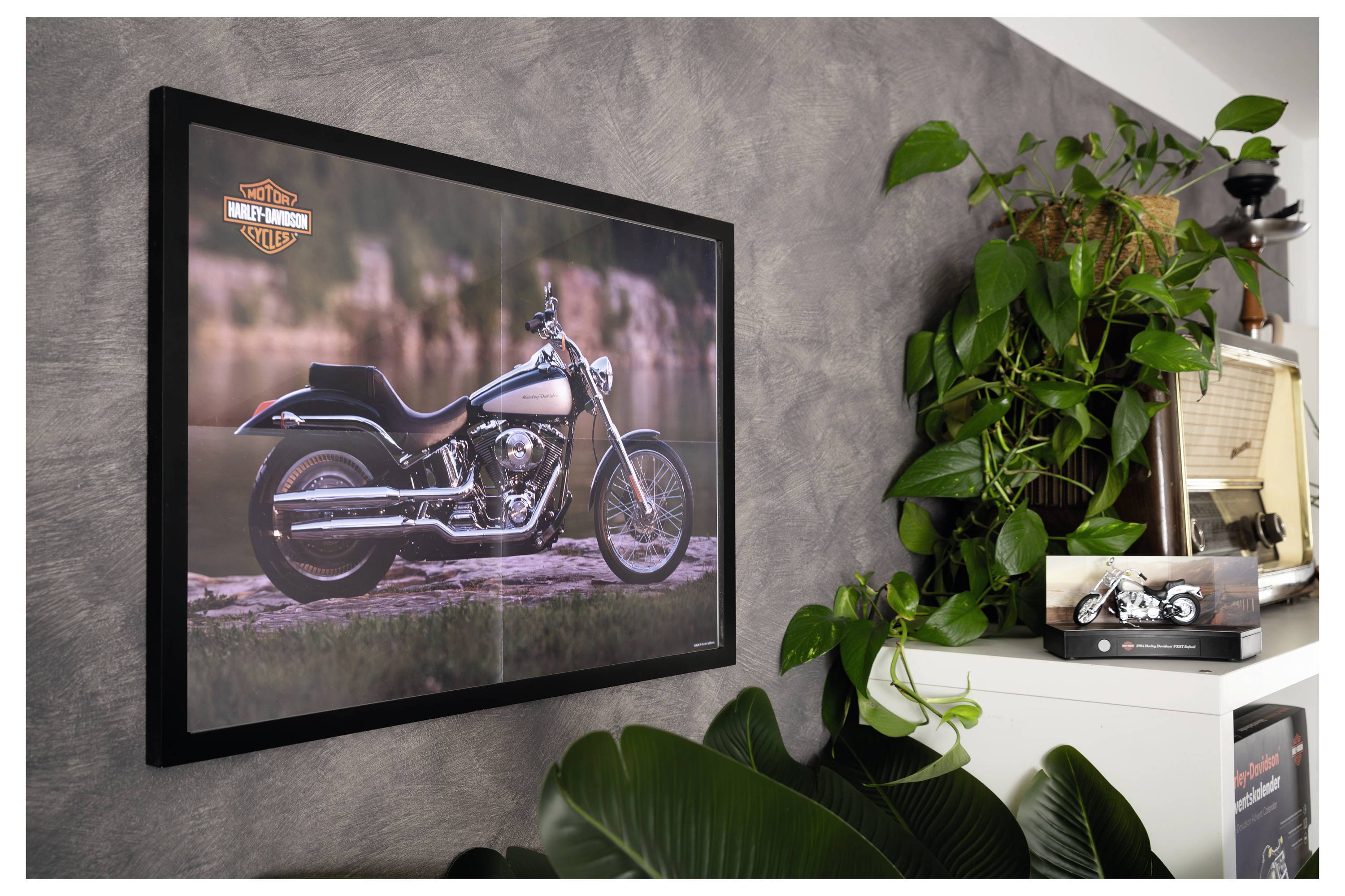 Gerahmtes Harley-Davidson-Motorradfoto an einer grauen Wand neben einer blattreichen Topfpflanze und einem weißen Regal mit Dekoration.