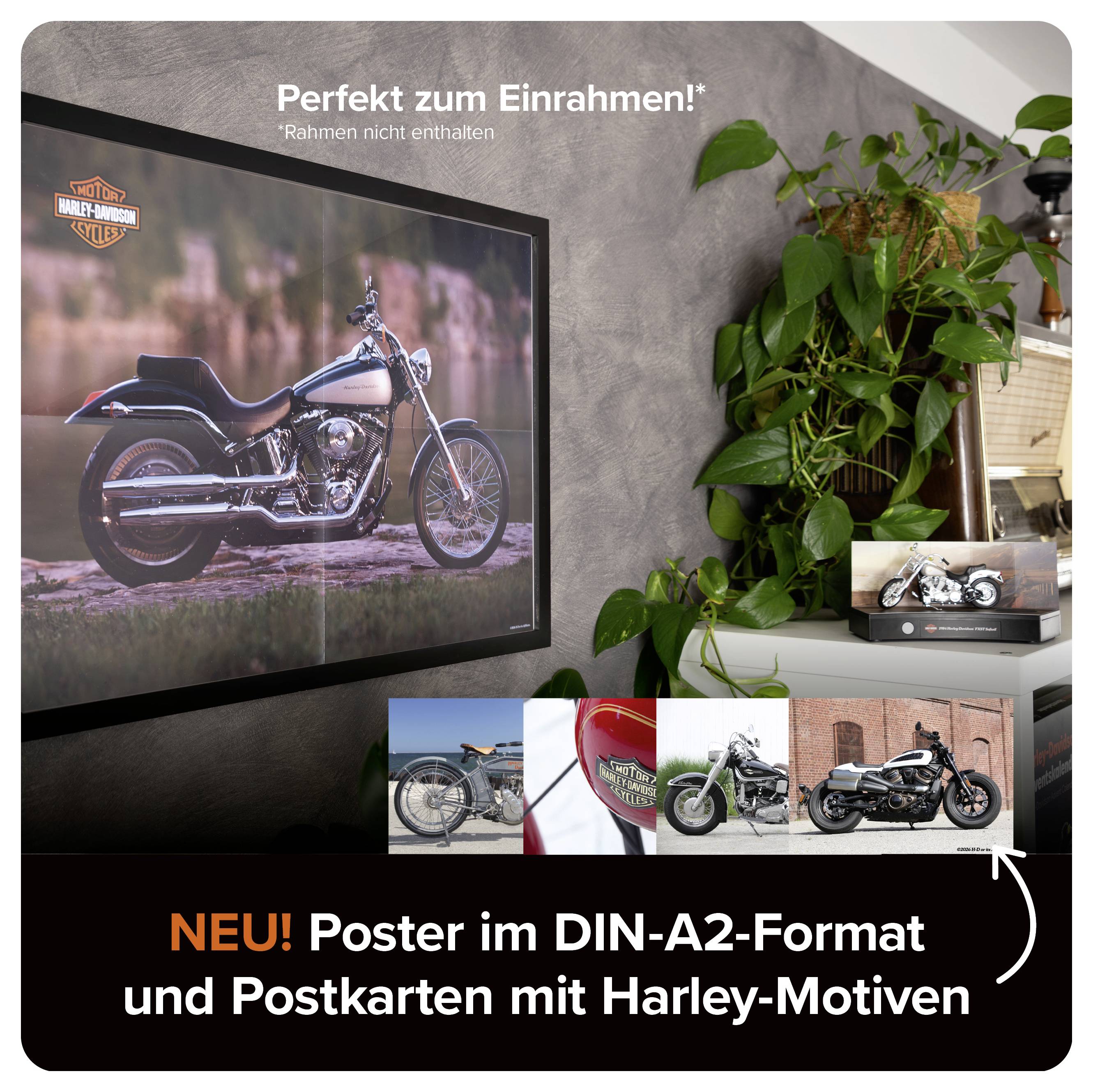 Werbeplakat: gerahmtes Harley-Motorradposter mit kleinerer Postkartenauswahl; Text 'Perfekt zum Einrahmen!', 'Neu! Poster im DIN-A2-Format und Postkarten mit Harley-Motiven'.
