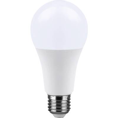 Eine weiße LED-Glühbirne mit mattiertem Globus und silberner Schraubenfassung auf einem einfachen Hintergrund.