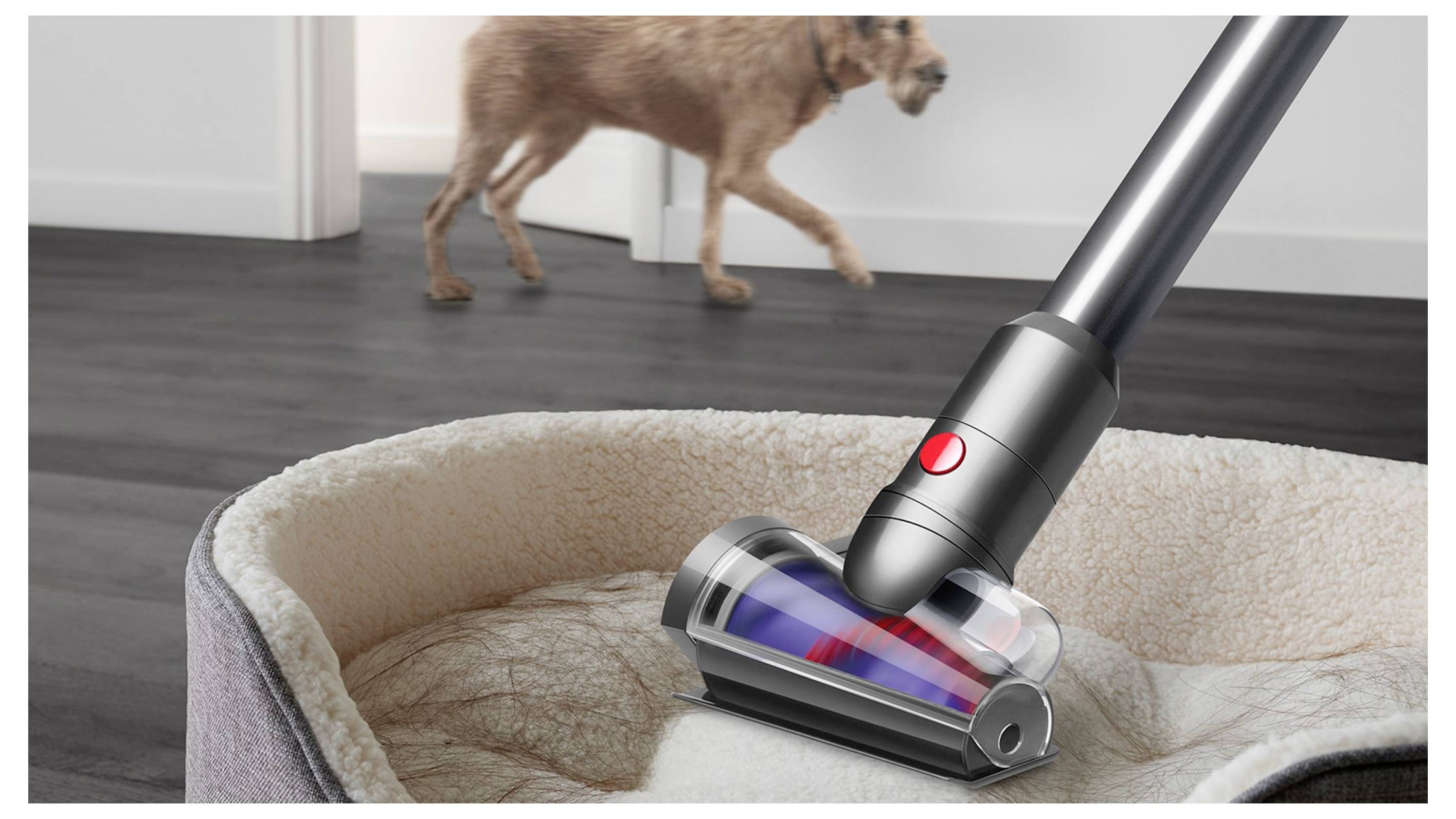 Schnurloses Staubsauger mit rotierender Bürste reinigt ein Hundebett, während ein Hund im Hintergrund spaziert.