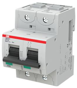 ABB 2CCG001601R0001 S802PV-SP125 Strangsicherung 1 St.-1