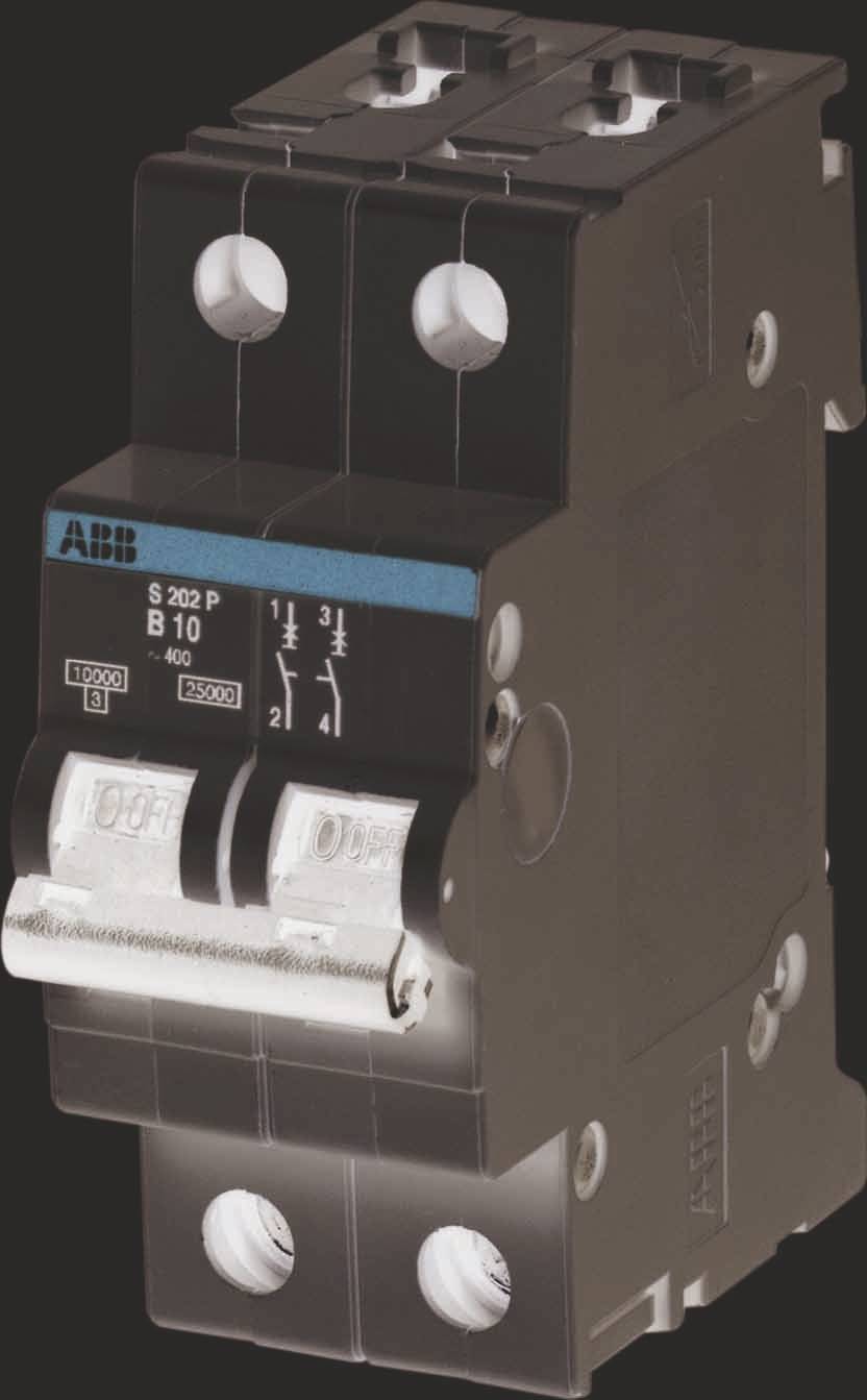 Schwarzer ABB S202 P B10 Leitungsschutzschalter mit zwei verbundenen weißen Kippschaltern und Klemmenöffnungen.