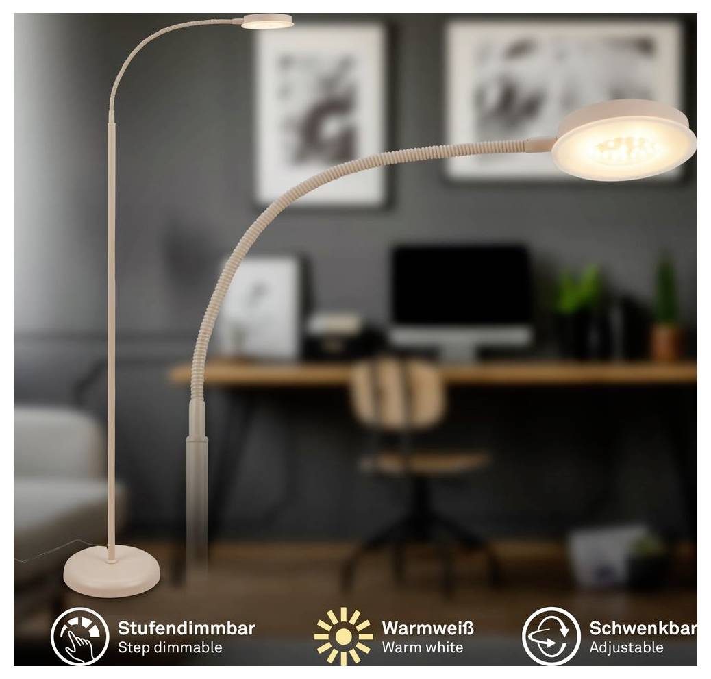 Zwei verstellbare Stehleuchten in einem unscharfen Büro; eine ist stufenlos dimmbar, eine gibt warmweißes Licht ab, und eine hat einen schwenkbaren Kopf.