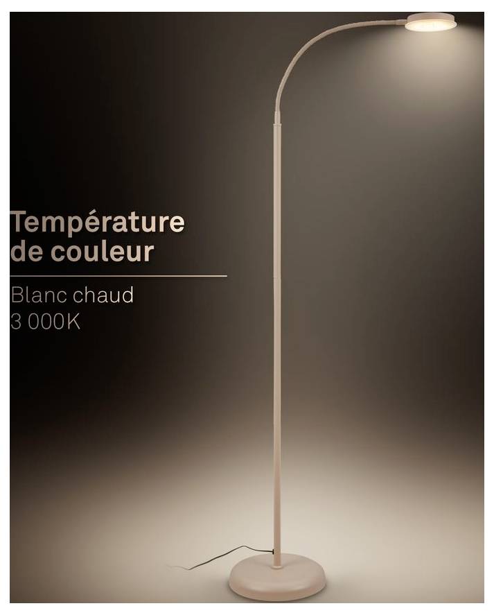 Hohe Stehleuchte mit gebogenem Arm und warmweißem Licht; Text lautet „Farbtemperatur", „Warmweiß 3 000K".