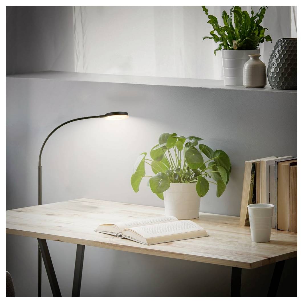 Minimalistischer Schreibtisch im Homeoffice mit leuchtender Aufgabenleuchte, aufgeschlagenem Buch, Topfpflanze, Büchern und einer Tasse vor einer hellen Wand.