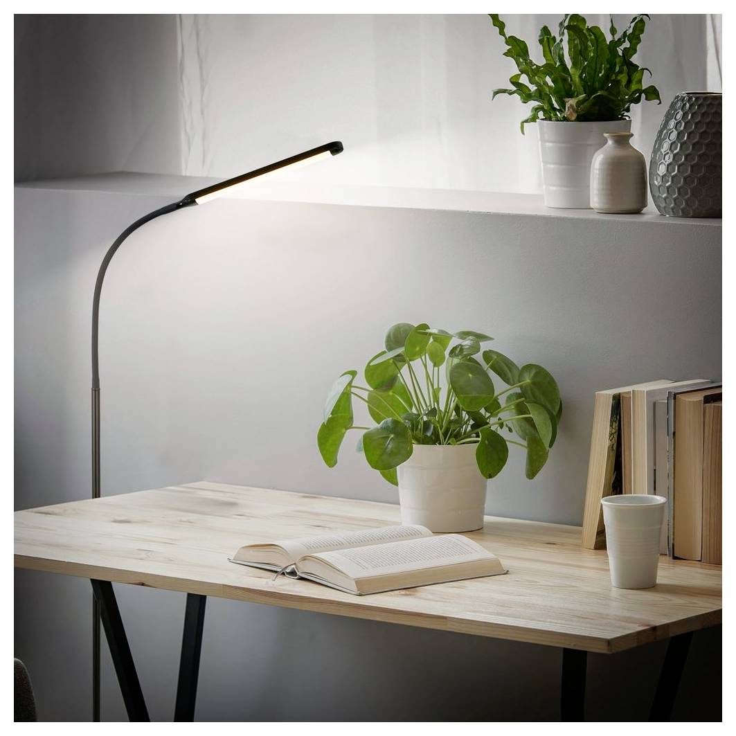 Minimalistischer Home-Office-Schreibtisch mit aufgeschlagenem Buch, Topfpflanze, Schreibtischlampe, Büchern und Tasse an einer fensterbeleuchteten Wand.