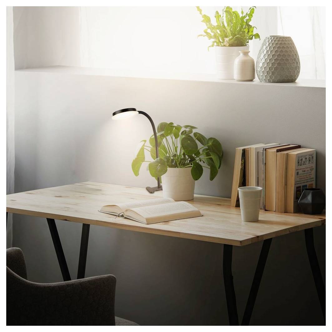 Minimalistischer Heimarbeitstisch mit Lampe, Topfpflanze, aufgeschlagenem Buch, Büchern und Tasse neben einem sonnigen Fenster.