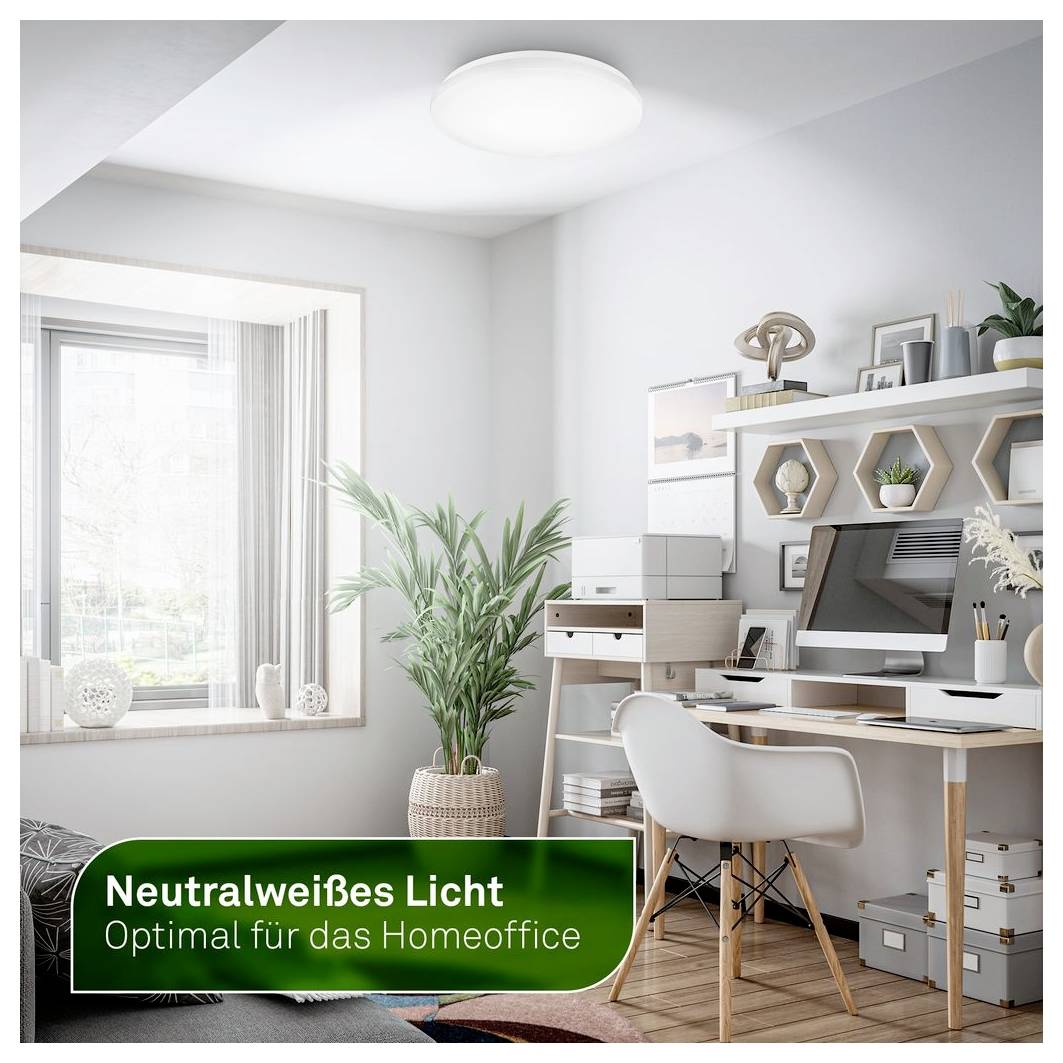 Modernes Homeoffice mit Schreibtisch, Computer, Stuhl, Regalen und Pflanzen; der Text besagt „Neutralweißes Licht" und „Optimal für das Homeoffice" und erklärt, dass neutralweißes Licht ideal für die Nutzung im Homeoffice ist.