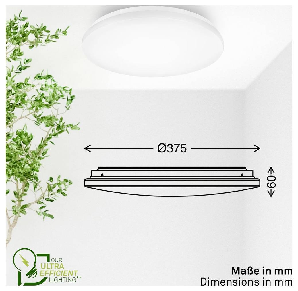 Deckenleuchten-Dimensionszeichnung mit einer runden Leuchte, 375 mm breit und 60 mm hoch, mit der Beschriftung „Maße in mm".