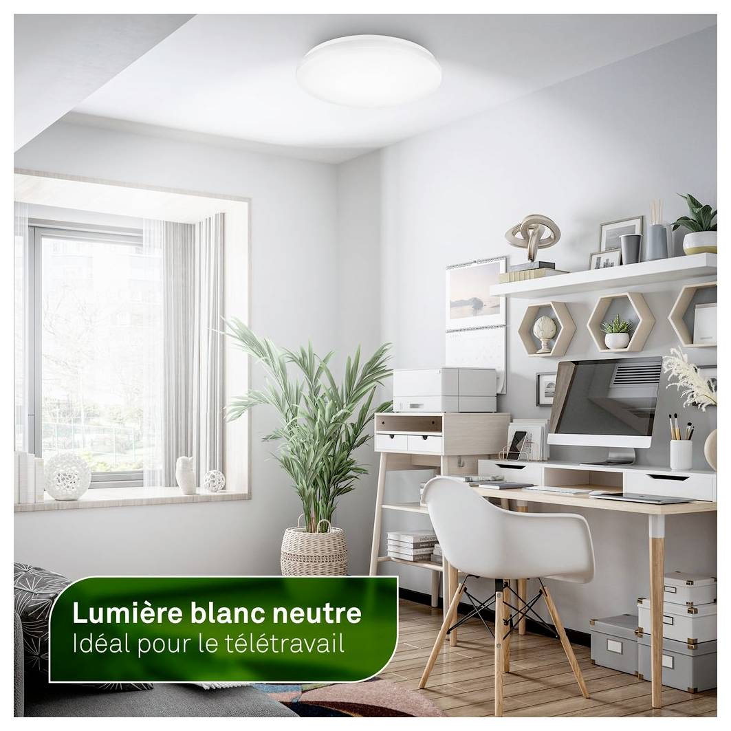 Helles Homeoffice mit Schreibtisch, Computer und Pflanze am Fenster; die Beschriftung lautet „Neutrales weißes Licht" und „Ideal zum Homeoffice".