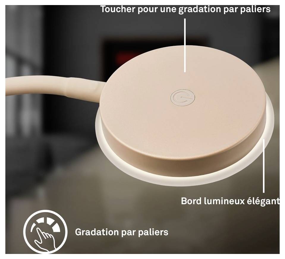 Touch-empfindliche runde Lichtsteuerung mit den Bezeichnungen „Gradation par paliers" und „Toucher pour une gradation par paliers", die schrittweise Dimmung und eine leuchtende Kante zeigt.