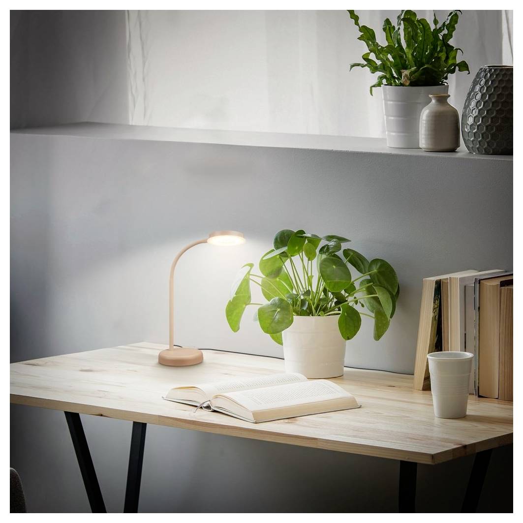 Ein ordentlicher Schreibtisch mit einem aufgeschlagenen Buch, einer Schreibtischlampe, einer Topfpflanze, einer Tasse und Büchern auf einem Regal in einem hellen Homeoffice.