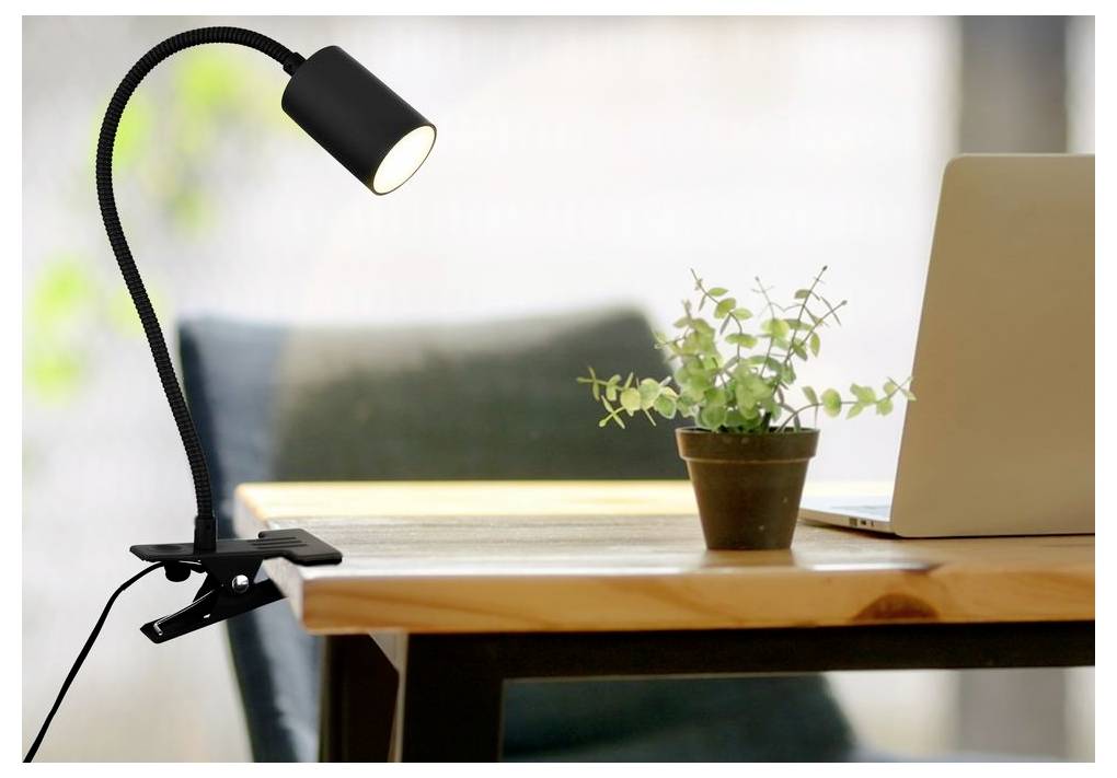 Schreibtischlampe, die auf einen Holztisch scheint, neben einer Topfpflanze und einem geöffneten Laptop in einem Heimarbeitsbereich.