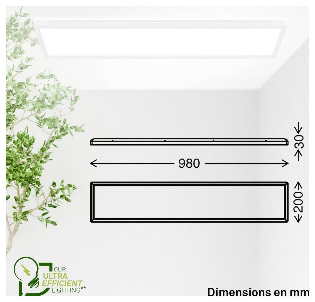 Diagramm einer rechteckigen Leuchte mit Abmessungen: 980 mm lang, 200 mm breit und 30 mm hoch; 'Abmessungen in mm'.