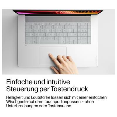 HP Notebook 43.9 cm (17.3 Zoll) Full HD 16 GB RAM 1 TB SSD Deutsch, QWERTZ Intel Intel-Grafik Silber DH9F4EA-46