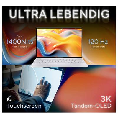 Asus Notebook 35.6 cm (14 Zoll) WQXGA+ 356H 32 GB RAM 1 TB SSD Deutsch, QWERTZ Intel Intel-Grafik Grau 90NX09J2-M00640-19