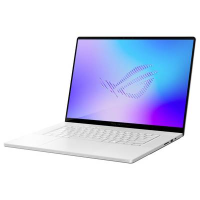 Asus Gaming Notebook 40.6 cm (16 Zoll) WQXGA 386H 8 GB RAM 1 TB SSD Deutsch, QWERTZ Intel Intel-Grafik NVIDIA GeForce RT-1