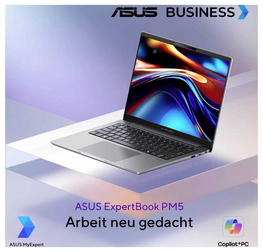 Asus Notebook 35.6 cm (14 Zoll) WQXGA AMD Ryzen AI 9 HX 470 64 GB RAM 1 TB SSD Deutsch, QWERTZ AMD AMD Radeon Grau 90NX0-10