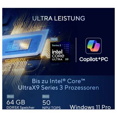 Asus Notebook 35.6 cm (14 Zoll) WQXGA+ 358H 64 GB RAM 2 TB SSD Deutsch, QWERTZ Intel Intel Arc Graphics Grau 90NX09J1-M0-15