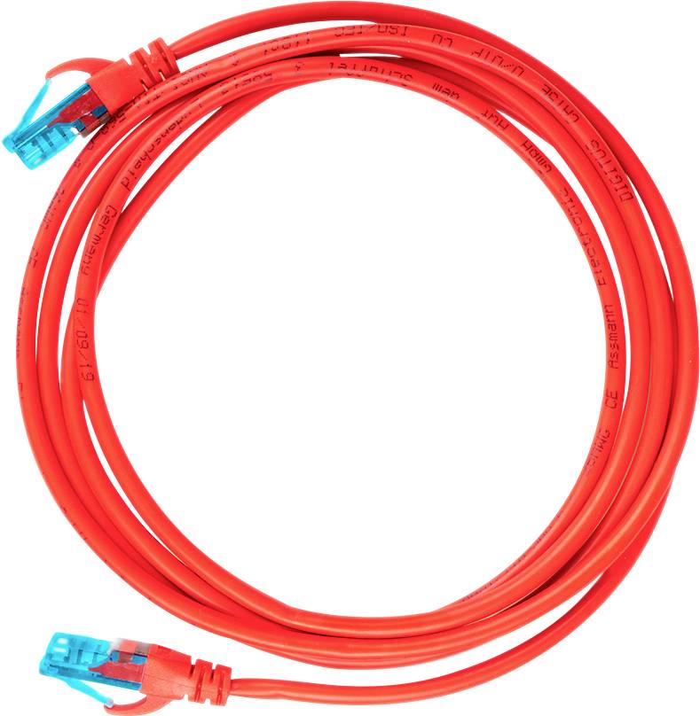 Aufgerolltes rotes Ethernet-Kabel mit blauen Steckern an beiden Enden.