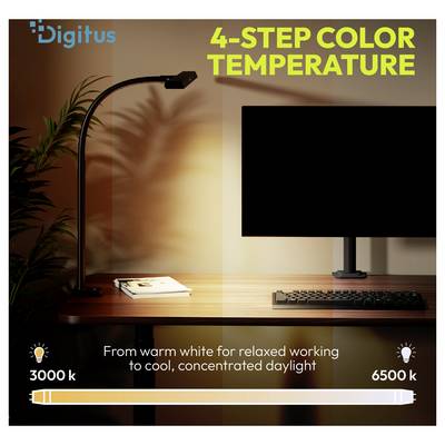 Infografik einer Schreibtischlampe und eines Monitors mit 4-stufiger Farbtemperatur, von warmweiß für entspanntes Arbeiten bis zu kühlem Tageslicht, 3000 K bis 6500 K.