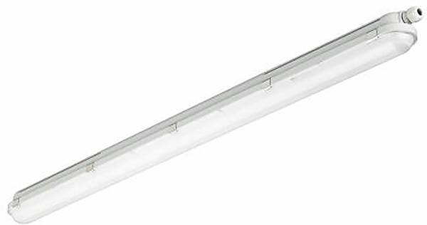 Signify 50221599  LED-Feuchtraum-Wannenleuchte     Grau