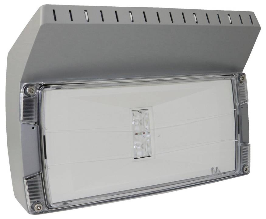 Außenwandmontierte Notlichtleuchte mit grauem Schirm und transparentem Linsenpanel.