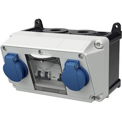 Industrielles elektrisches Schaltschrank mit zwei blauen Steckdosenschutzkappen und einem transparenten Inspektionsfenster an der Vorderseite.