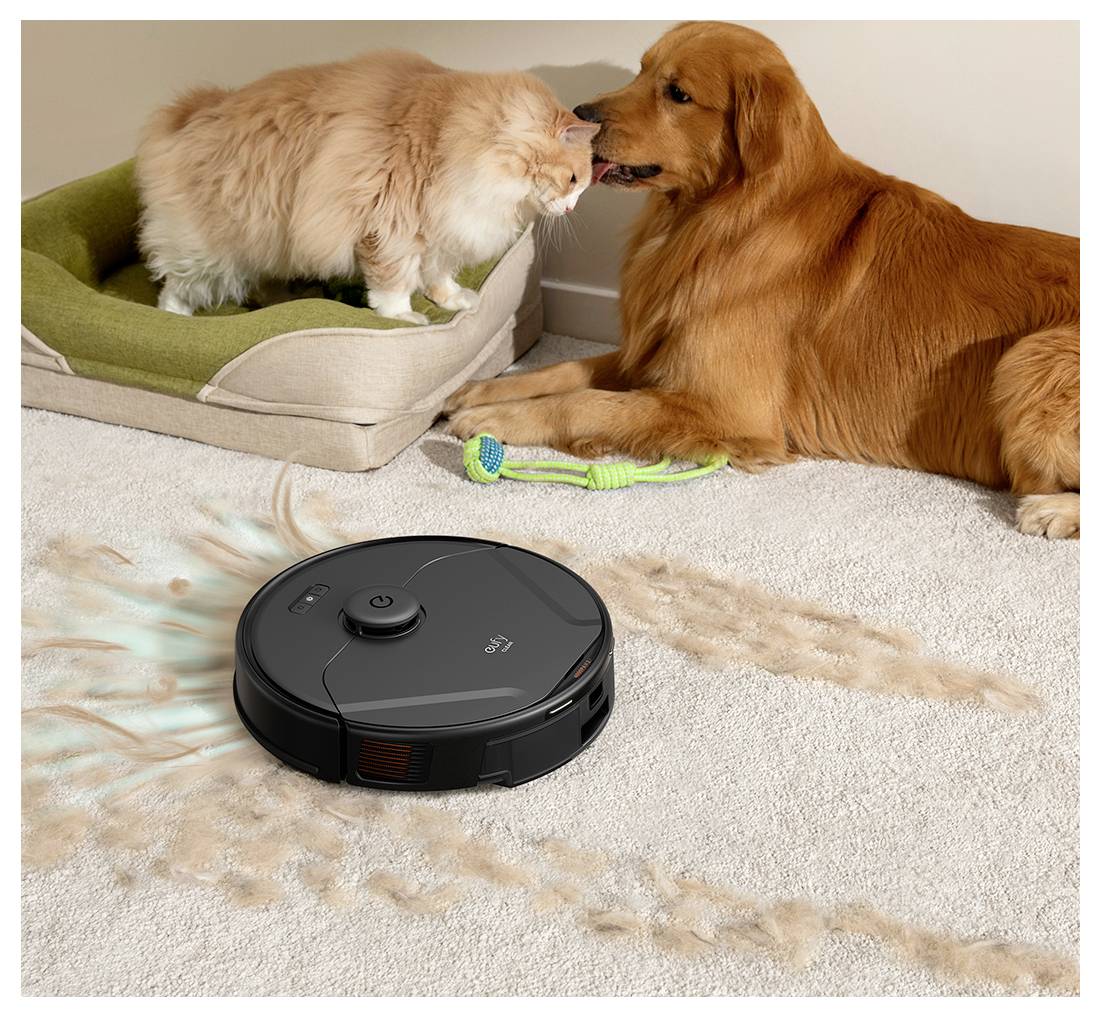 Roboterstaubsauger reinigt Teppich mit Tierhaaren, während sich eine Katze und ein Hund in der Nähe in einem Haus befinden.