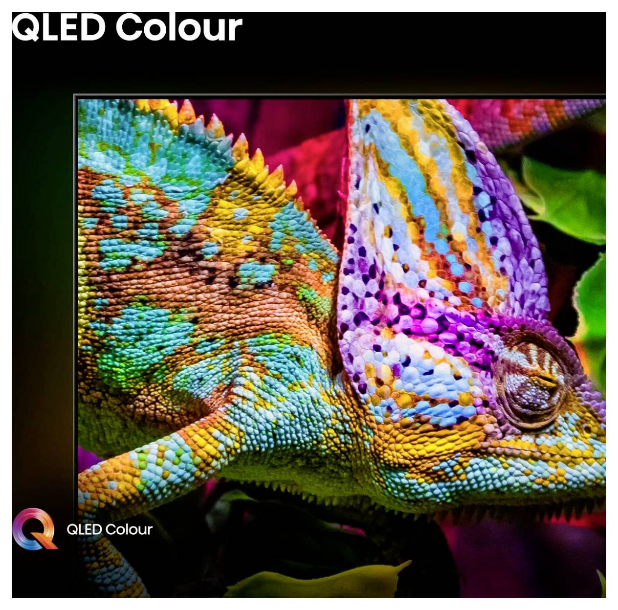 Farbenfrohe Nahaufnahme eines Chamäleons mit lebendigen mehrfarbigen Schuppen, beschriftet mit „QLED Colour" in der oberen linken und unteren linken Ecke.