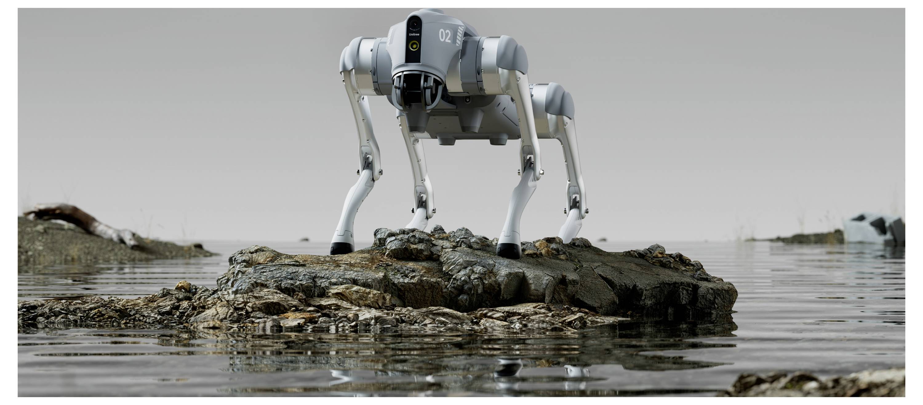Ein vierbeiniger Roboter steht auf einem felsigen Vorsprung in flachem Wasser, mit einem glatten grauen Körper und mechanischen Beinen in einer minimalistischen Außenszene.