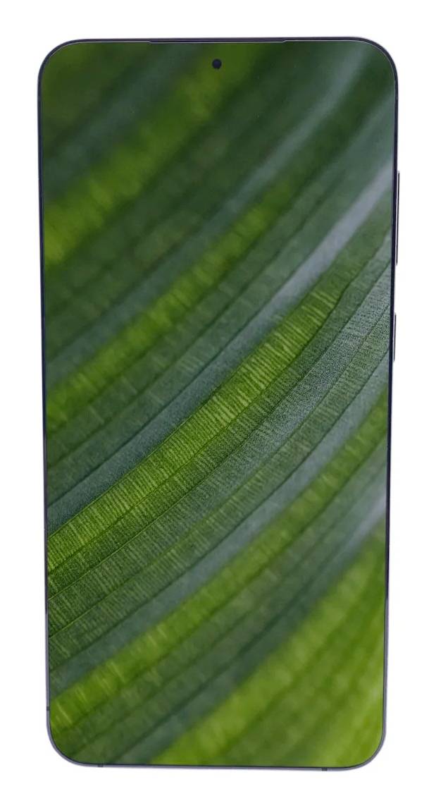Smartphone mit einem grünen Blatt-Hintergrundbild, das den Bildschirm ausfüllt, mit einem zentrierten vorderen Kameraloch oben.