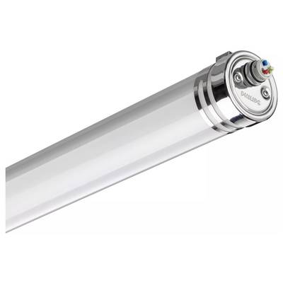 Eine zylindrische klare LED-Röhrenleuchte mit metallischen Endkappen, diagonal auf weißem Hintergrund dargestellt.