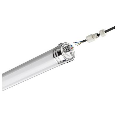 Nahaufnahme einer LED-Röhrenleuchte mit geöffneter Endkappe, die interne Verdrahtung neben einem abgelösten Stromkabelstecker zeigt.