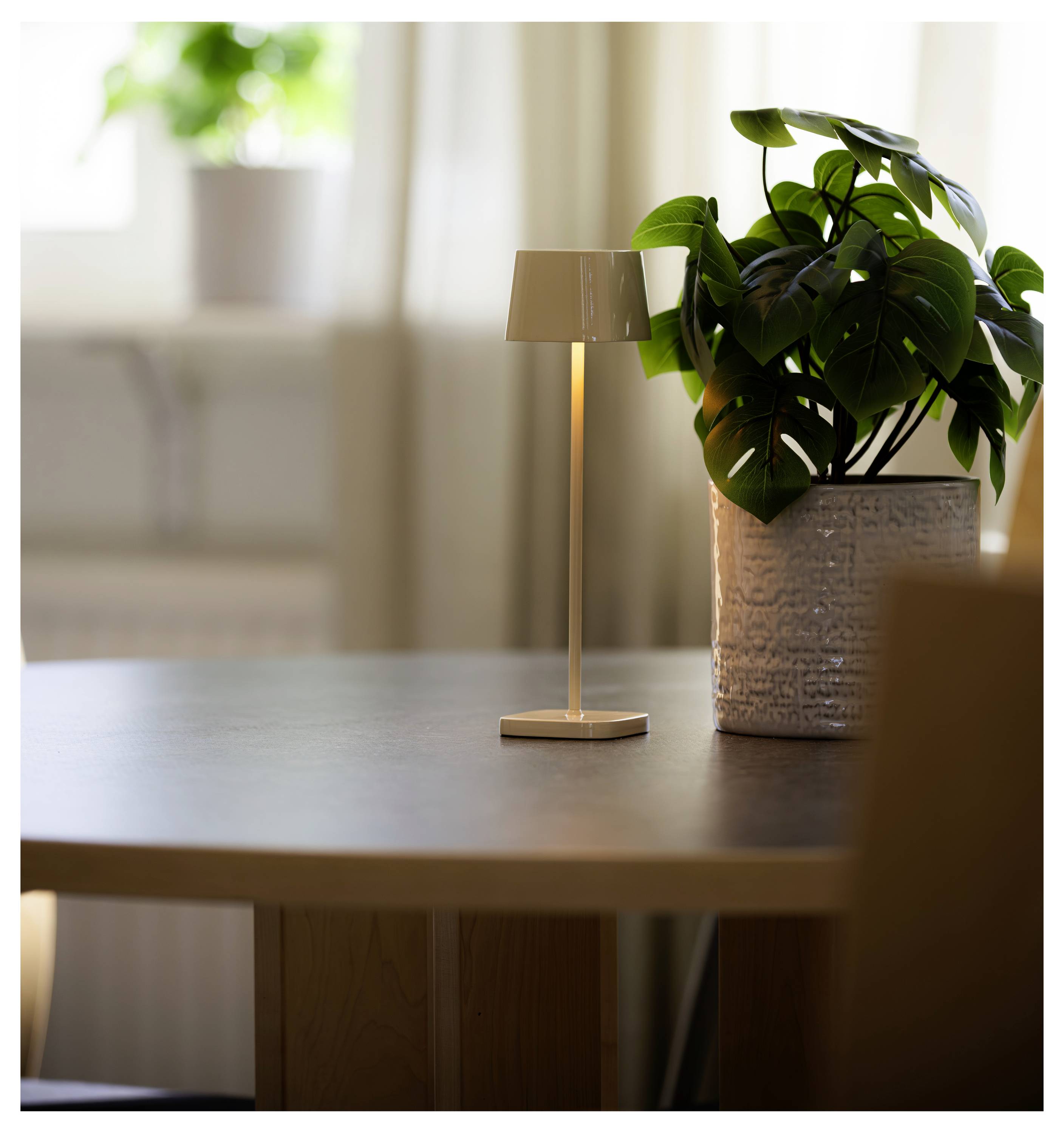 Kleine Lampe und Topfpflanze auf einem Holztisch in einem sanft beleuchteten Raum.