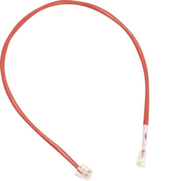 Rotes Ethernet-Kabel mit RJ45-Steckern, zu einer Schleife aufgerollt auf weißem Hintergrund.