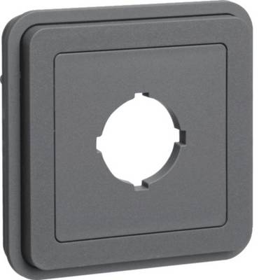 Grauer quadratischer Schalter-Wandplatte mit zentraler runder Öffnung für einen Regelknopf oder Druckknopf.