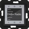 Hager Unterputz-Radio Nachtschwarz (glänzend) WAN6111BG 1 St.
