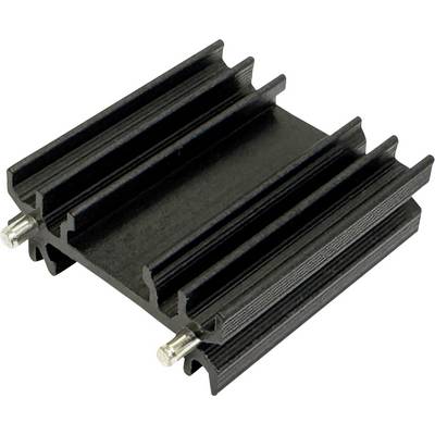 Schwarze Kühlrippe aus Aluminium mit zwei Befestigungsstutzen, dargestellt auf weißem Hintergrund.