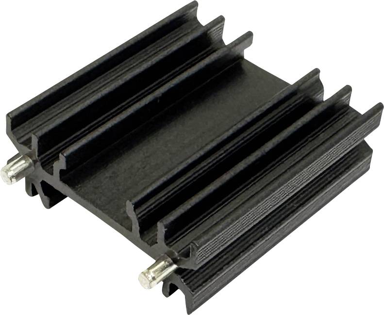 Schwarze Aluminiumkühlrippe mit zwei metallischen Befestigungsstiften auf weißem Hintergrund.