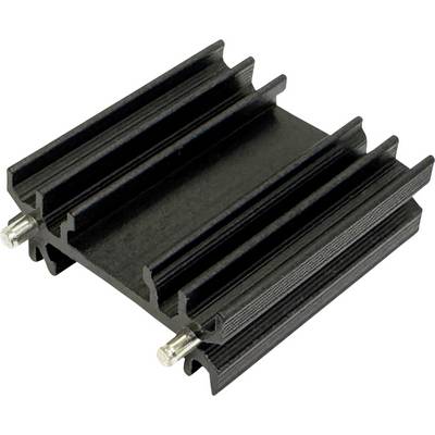 Schwarze Aluminiumkühlrippe mit zwei metallischen Befestigungsstiften auf weißem Hintergrund.