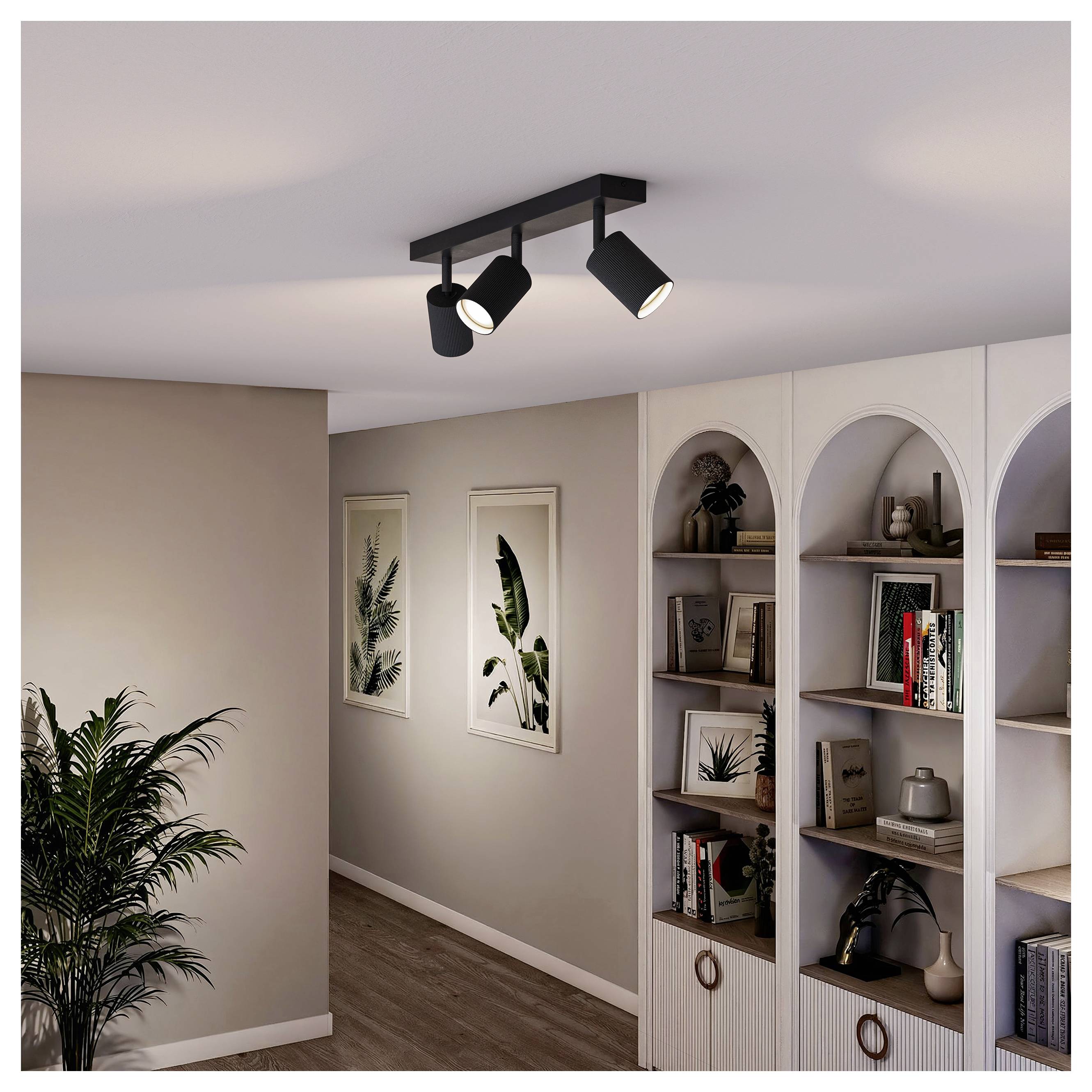Moderner Flur mit Schienenspotenleuchten an der Decke, eingebauten gewölbten Regalen, gerahmter botanischer Kunst und einer Topfpflanze auf Holzfußboden.