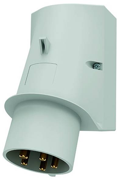 Nahaufnahme eines mintgrünen Elektrosteckers mit drei Goldstiften, dargestellt vor einem einfachen weißen Hintergrund.